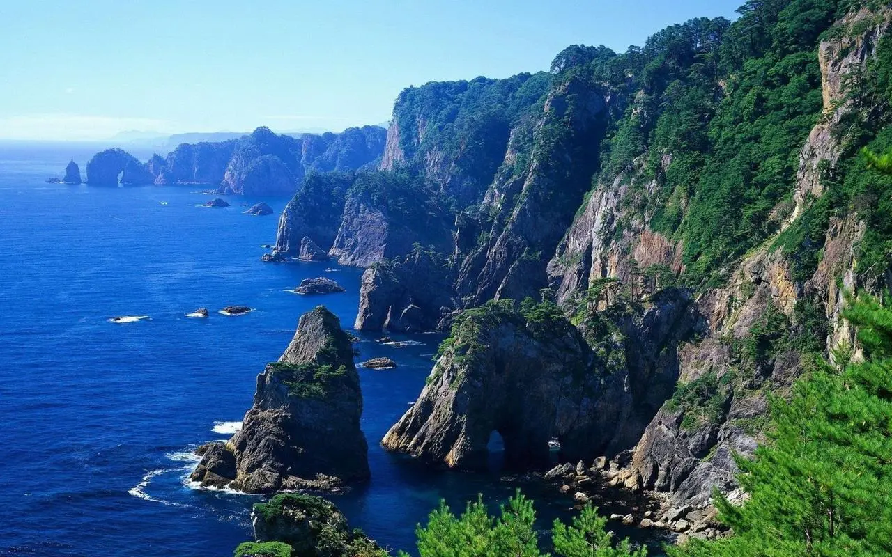 科技全自动节能